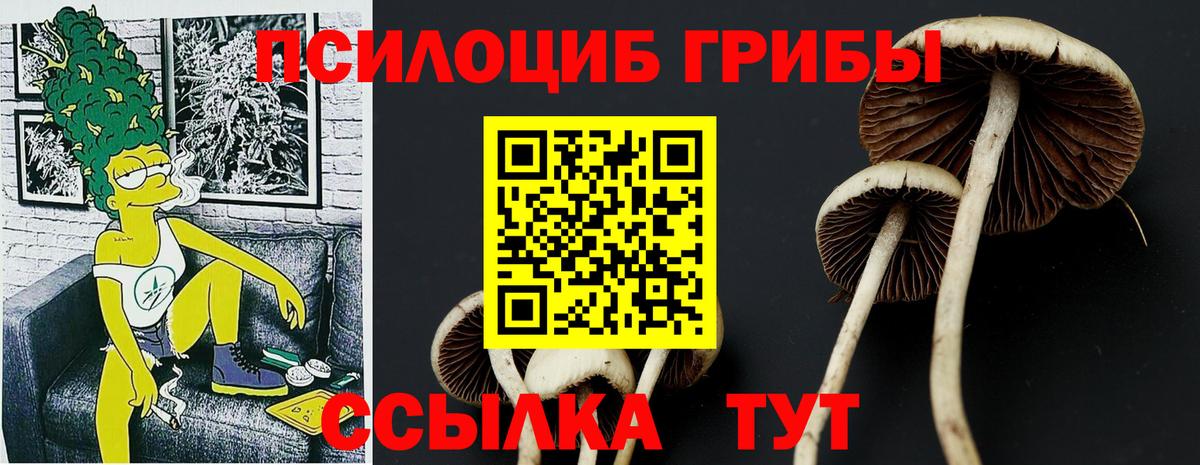 ГАШ  Вход с VPN  Каннабис  Мичуринск  МЕТАМФЕТАМИН  ГАШ  МЕФ   КОКАИН 