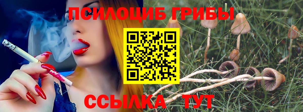 Галлюциногенные грибы прущие грибы Мичуринск