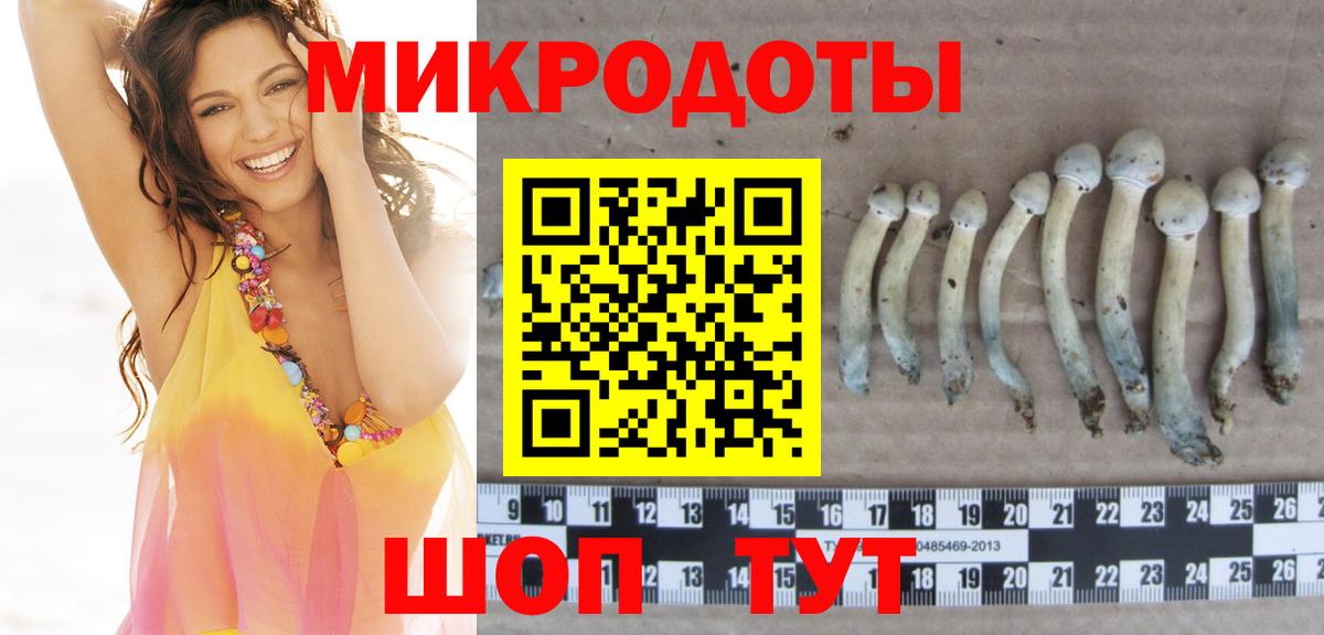 Псилоцибиновые грибы мицелий  Вход с VPN  Мичуринск  Псилоцибиновые грибы Psilocybine cubensis 